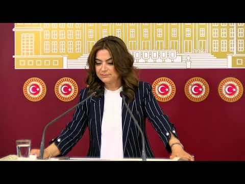 DEM Parti Grup Başkanvekili Gülistan Kılıç Koçyiğit, TBMM'de basın toplantısı düzenliyor