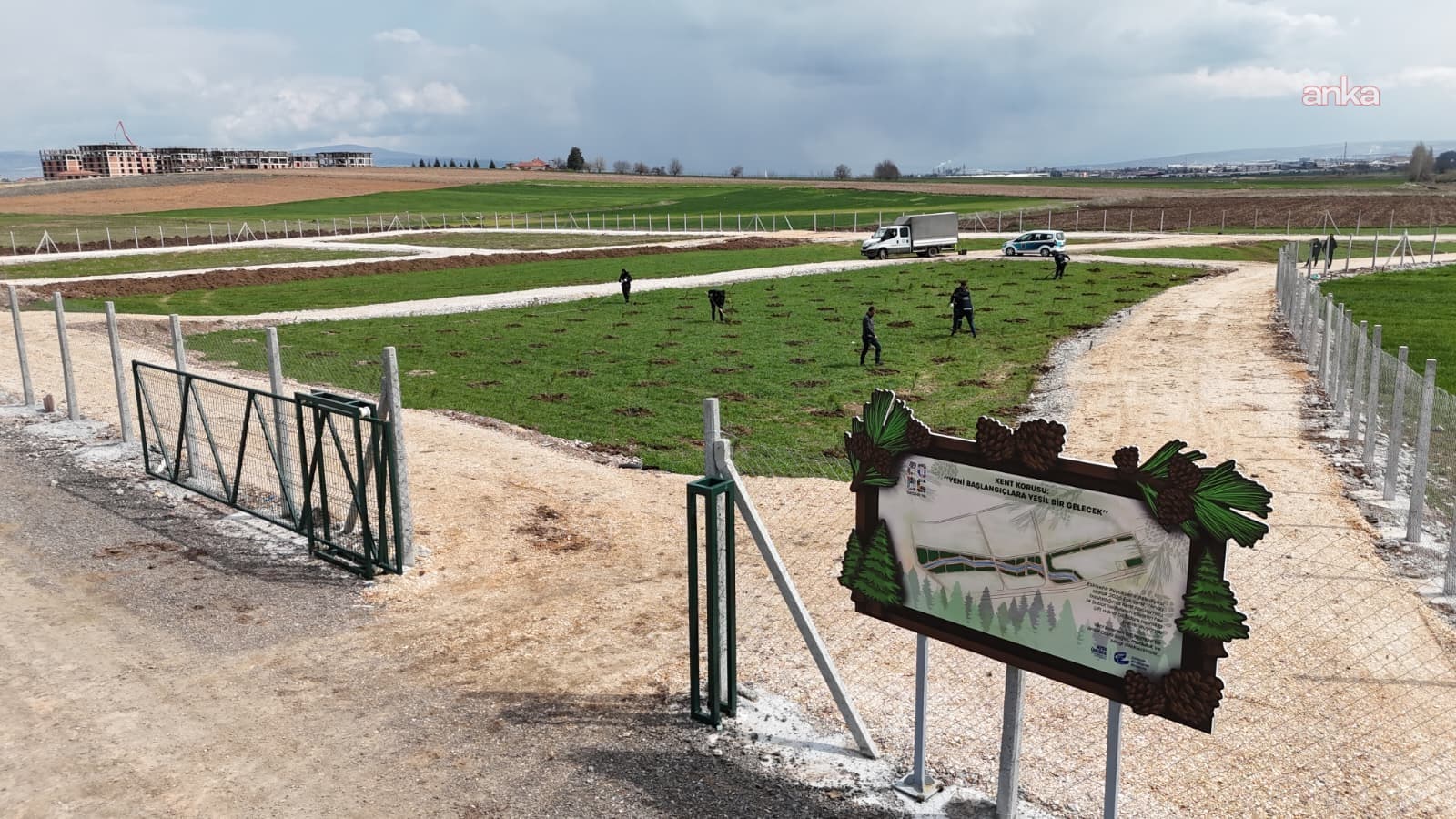 Eskişehir Büyükşehir Belediyesi'nden yeni evlenen çiftlere "yeşil" armağan