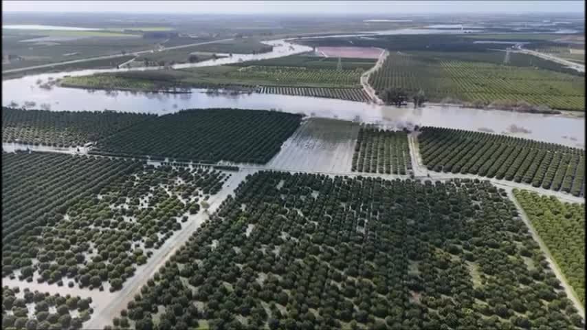CHP’li Barut: "İktidar bir an önce Adana'da mağduriyet yaşayan çiftçilerin ve vatandaşların zararlarını karşılamalı"