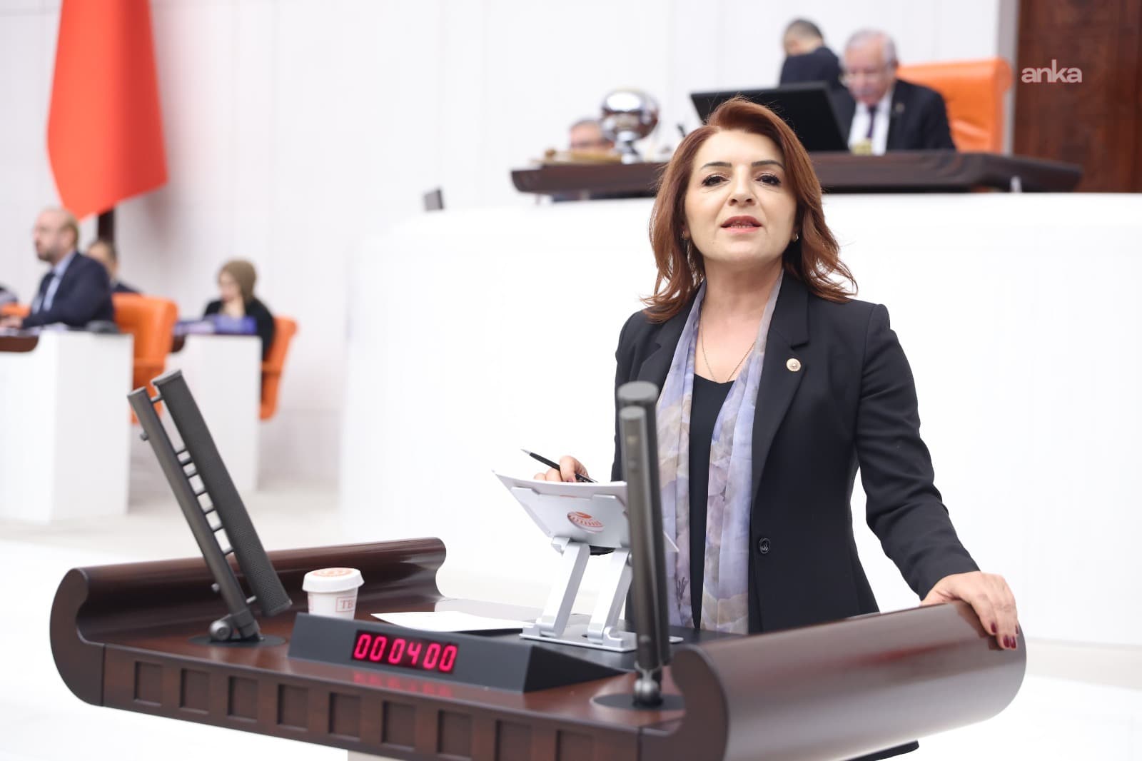 Gülcan Kış: “THY, bu ülkenin bayrak taşıyıcısıdır. Çalışanların hakları doğrudan kamuoyunu ilgilendirir”