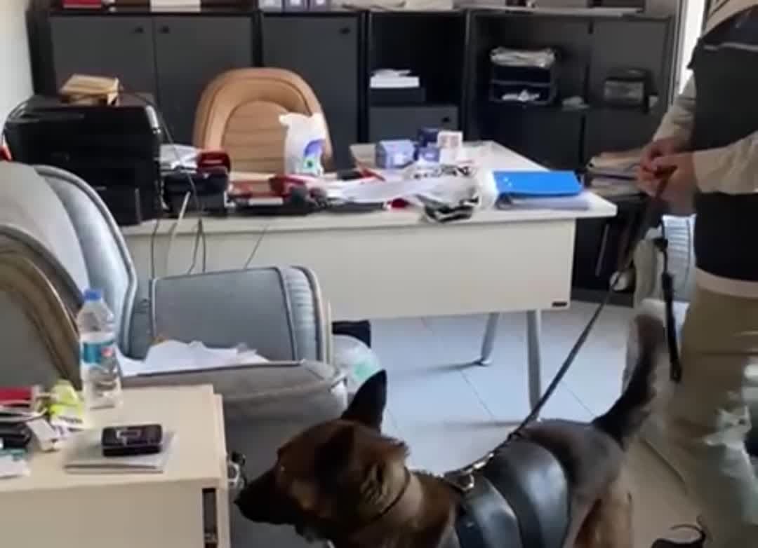 Tunceli’de 1 kilo 917 uyuşturucu madde geçirilen operasyonda gözaltına alınan 3