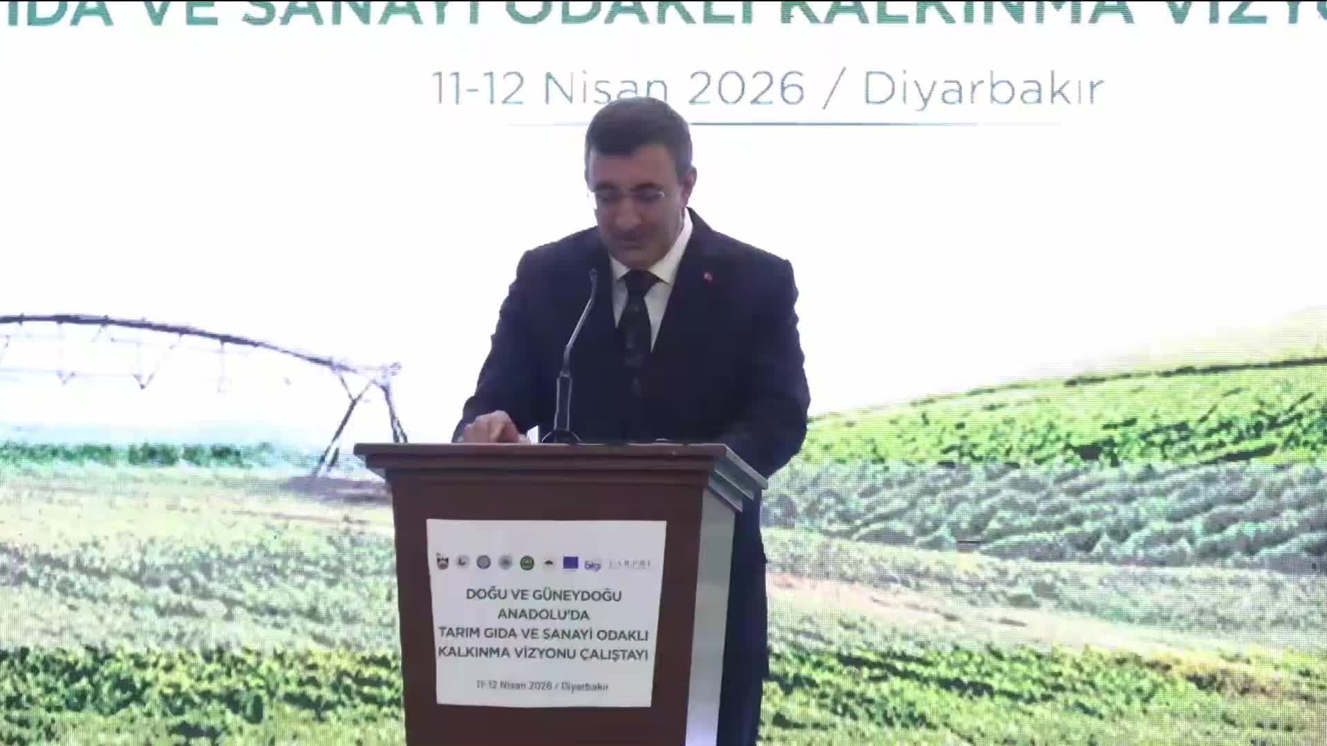 Cumhurbaşkanı Yardımcısı Yılmaz: Doğu ve Güneydoğu'da geçmişin ihmallerini telaf