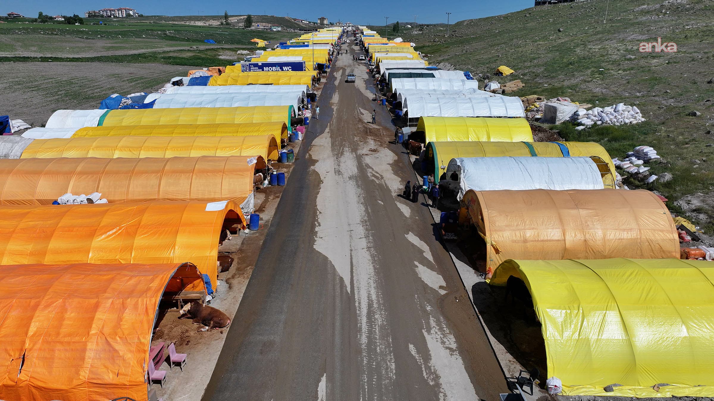 Keçiören’de kurban satış alanı başvuruları başlıyor